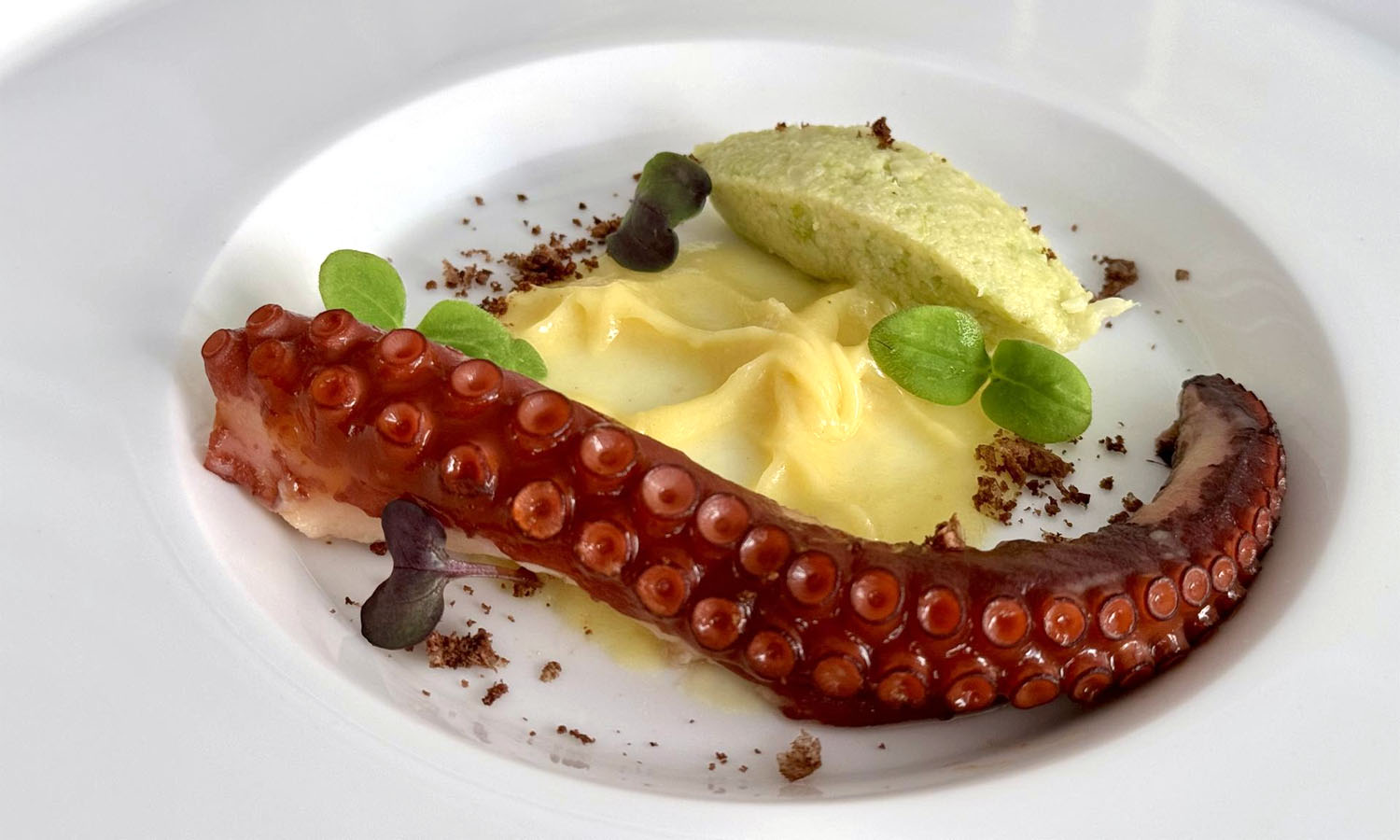 Polpo, patate alla curcuma e guacamole romano - ricetta chef Giuseppe Mulargia