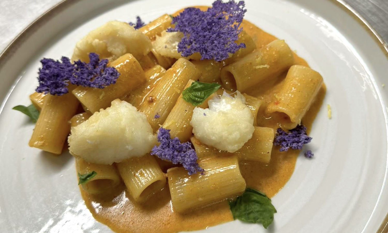Rigatoni, pil pil di baccalà, rosa Marina, limone Marateota ricetta chef Alessandro Guerriero