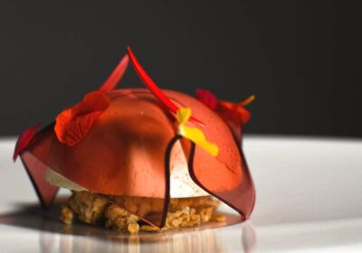 Panna cotta alla genziana, muesli e velo di frutti rossi e rosa - ricetta chef Luca Ludovici - ConTatto - Frascati